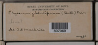 Image Associated With the Occurence